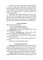 Diplomdarbs 'Muguras sāpes', 8.