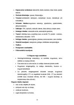 Diplomdarbs 'Muguras sāpes', 14.