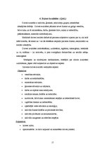 Diplomdarbs 'Muguras sāpes', 17.