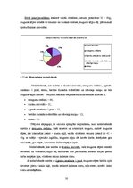 Diplomdarbs 'Muguras sāpes', 30.