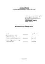 Prakses atskaite 'Prakses atskaite Valsts ieņēmumu dienestā', 1.