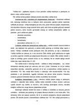 Prakses atskaite 'Prakses atskaite Valsts ieņēmumu dienestā', 19.