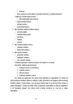 Prakses atskaite 'Prakses atskaite Valsts ieņēmumu dienestā', 23.