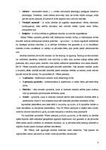 Referāts 'Maksa Vēbera lietoto jēdzienu nozīme', 9.