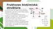 Prezentācija 'Fruktoze', 4.
