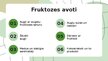 Prezentācija 'Fruktoze', 5.