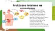 Prezentācija 'Fruktoze', 8.