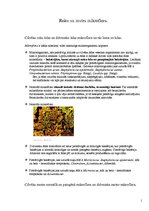 Konspekts 'Roku ādas un mutes mikroflora', 1.