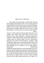 Referāts 'Zeme kā planēta', 8.