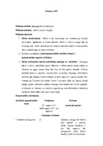 Konspekts 'Bērna pamatkustību apguves izvērtējums', 2.