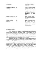 Konspekts 'Bērna pamatkustību apguves izvērtējums', 5.