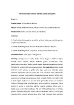 Prakses atskaite 'Latviešu valodas skolotājs pamatskolā', 3.