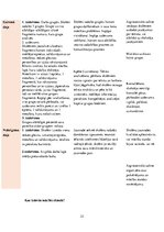 Prakses atskaite 'Latviešu valodas skolotājs pamatskolā', 23.