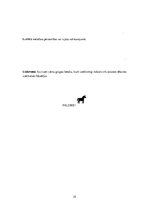 Prakses atskaite 'Latviešu valodas skolotājs pamatskolā', 25.