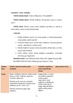 Prakses atskaite 'Latviešu valodas skolotājs pamatskolā', 33.