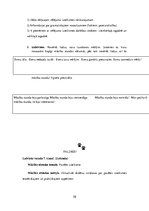 Prakses atskaite 'Latviešu valodas skolotājs pamatskolā', 58.