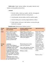 Prakses atskaite 'Latviešu valodas skolotājs pamatskolā', 59.