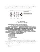 Referāts 'Ieskaites darbs priekšmetā "Ūdens apgāde un kanalizācija"', 8.