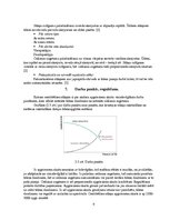 Referāts 'Ieskaites darbs priekšmetā "Ūdens apgāde un kanalizācija"', 9.