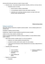 Konspekts 'Administratīvā procesa tiesības', 19.