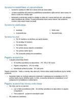 Konspekts 'Administratīvā procesa tiesības', 24.