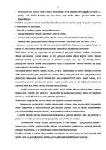 Referāts 'Risks starptautiskajā tirdzniecībā un dokumentāro operāciju darbības principi ri', 17.