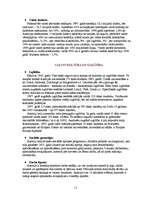 Referāts 'Austrija - valsts Rietumeiropā', 11.