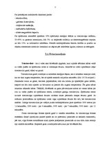 Referāts 'Kodolieroču iznīcinošais spēks', 7.