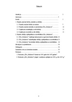 Referāts 'Maksātspējas un likviditātes rādītāju analīze SIA "Noliktava"', 4.