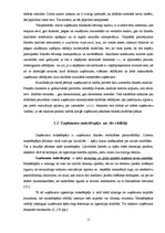 Referāts 'Maksātspējas un likviditātes rādītāju analīze SIA "Noliktava"', 11.