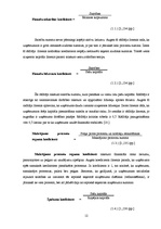 Referāts 'Maksātspējas un likviditātes rādītāju analīze SIA "Noliktava"', 12.