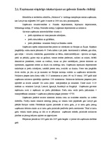 Referāts 'Maksātspējas un likviditātes rādītāju analīze SIA "Noliktava"', 20.