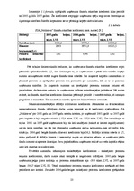 Referāts 'Maksātspējas un likviditātes rādītāju analīze SIA "Noliktava"', 23.