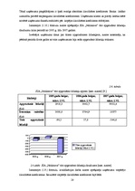 Referāts 'Maksātspējas un likviditātes rādītāju analīze SIA "Noliktava"', 28.