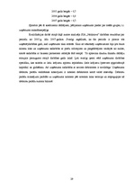 Referāts 'Maksātspējas un likviditātes rādītāju analīze SIA "Noliktava"', 29.