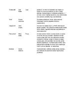 Konspekts 'Kultūrfakti 12.klases latviešu valodas eksāmena 3.daļai (pārspriedumam)', 3.