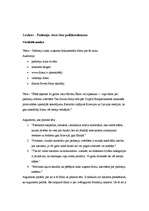 Eseja 'Laikraksta "Diena" piecu rakstu analīze', 4.