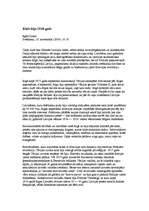 Eseja 'Laikraksta "Diena" piecu rakstu analīze', 16.