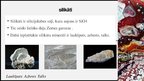 Prezentācija 'Silikātu ražošanas tehnoloģijas', 2.