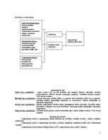 Konspekts 'Organizācijas psiholoģija ', 3.