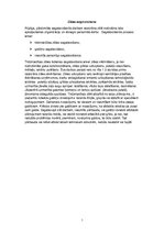 Prakses atskaite 'Prakses atskaite viesmīlībā', 10.