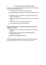 Prakses atskaite 'Prakses atskaite viesmīlībā', 13.