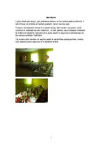 Prakses atskaite 'Prakses atskaite viesmīlībā', 23.