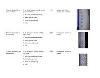 Konspekts 'Stundas konspekts 3.klasei. Brass', 2.