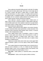 Diplomdarbs 'SIA "A" saimnieciskās darbības analīze un attīstības iespējas', 5.