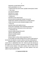 Diplomdarbs 'SIA "A" saimnieciskās darbības analīze un attīstības iespējas', 9.