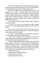 Diplomdarbs 'SIA "A" saimnieciskās darbības analīze un attīstības iespējas', 19.