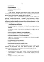 Diplomdarbs 'SIA "A" saimnieciskās darbības analīze un attīstības iespējas', 20.