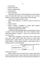 Diplomdarbs 'SIA "A" saimnieciskās darbības analīze un attīstības iespējas', 34.