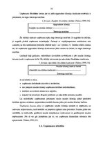 Diplomdarbs 'SIA "A" saimnieciskās darbības analīze un attīstības iespējas', 36.